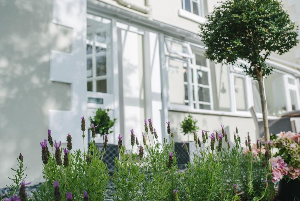 Apple Tree Bed And Breakfast Tavistock  Eksteriør bilde